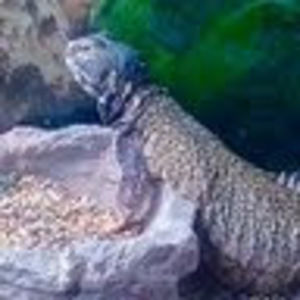 Meet your Posher, Jaclyn